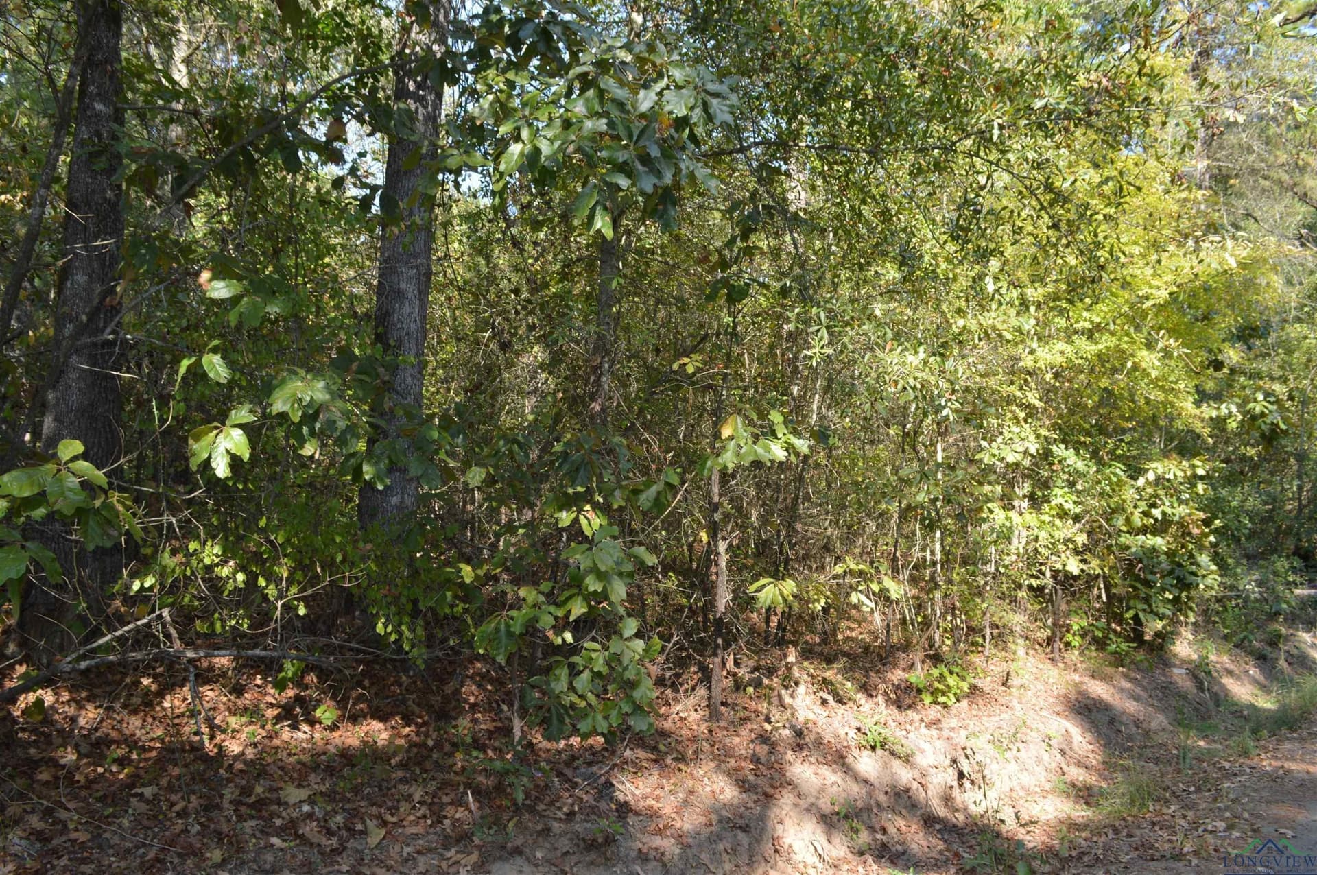 50 acres in Texas County - photo 2