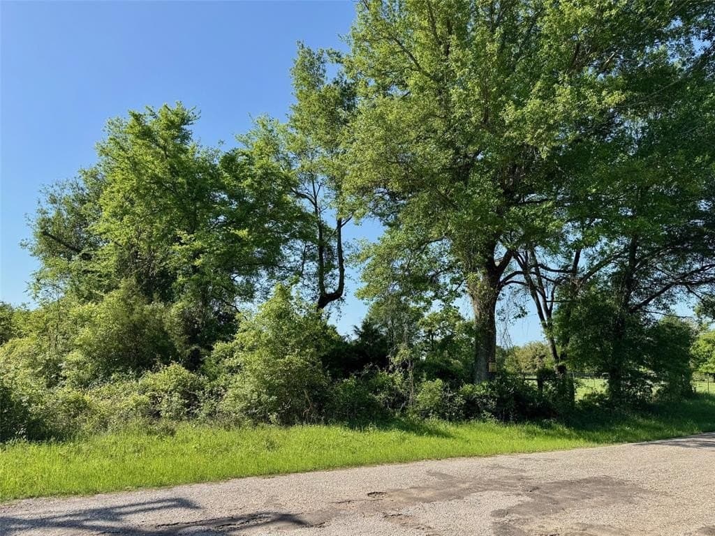 0.74 acres in Limestone County - photo 4