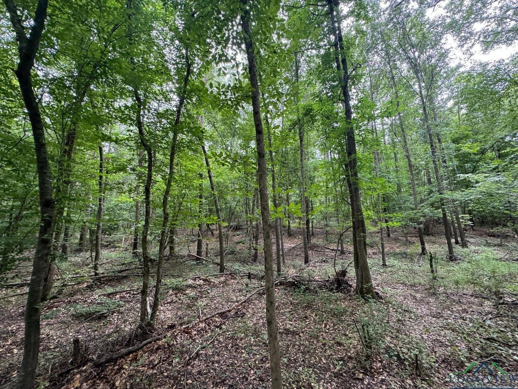 8.42 acres in Marion County - photo 9