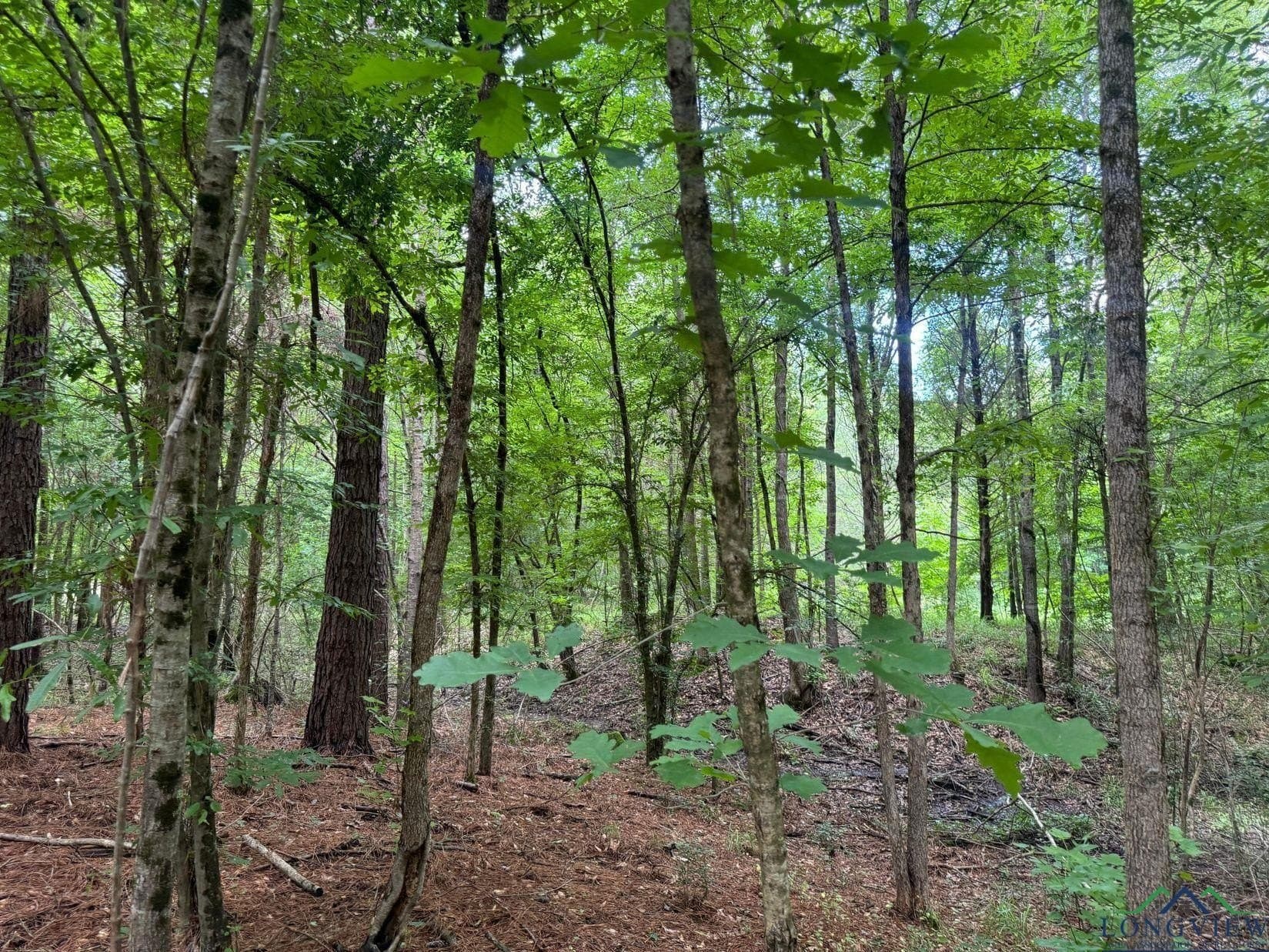 8.42 acres in Marion County - photo 7