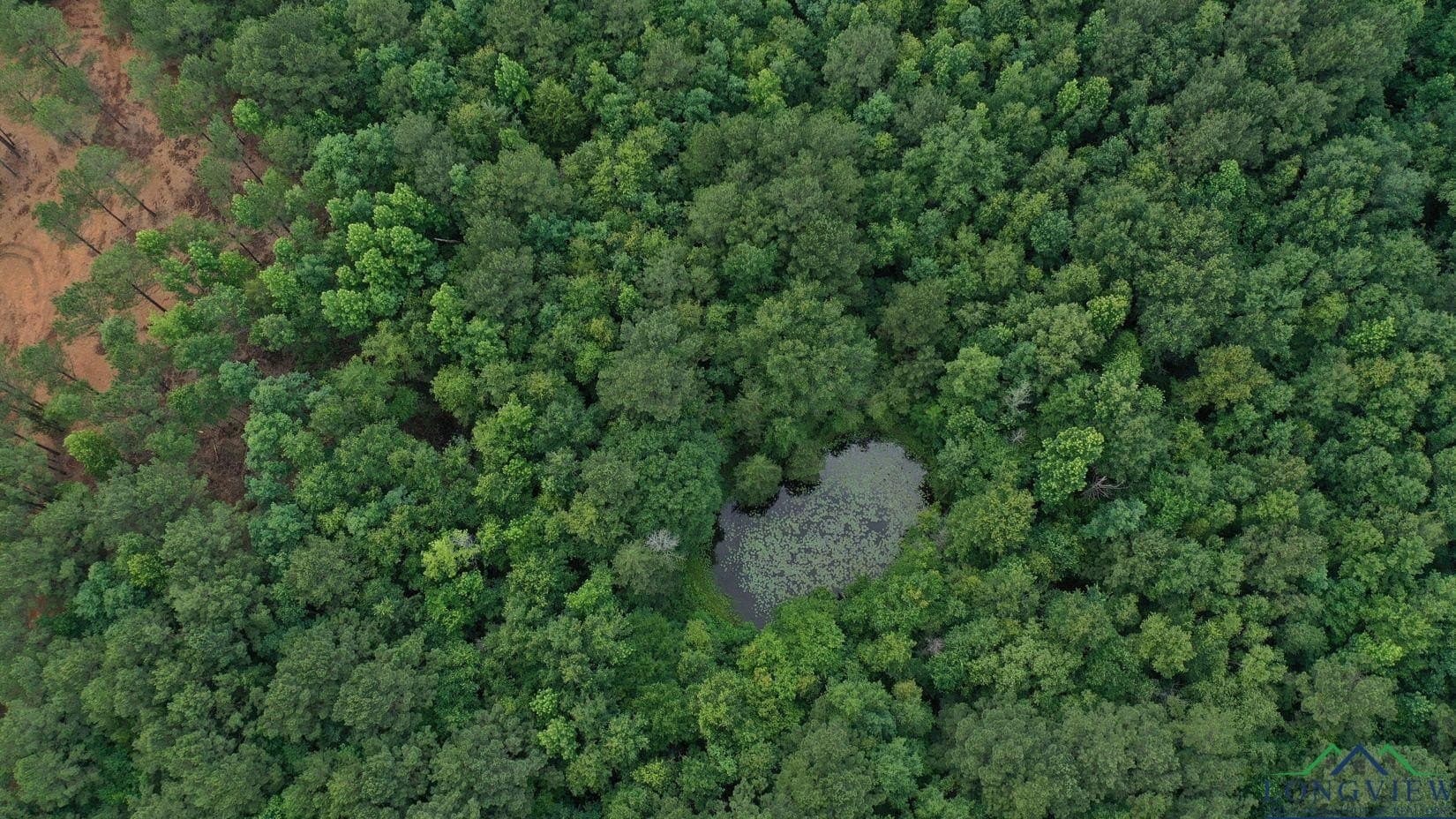 8.42 acres in Marion County - photo 3