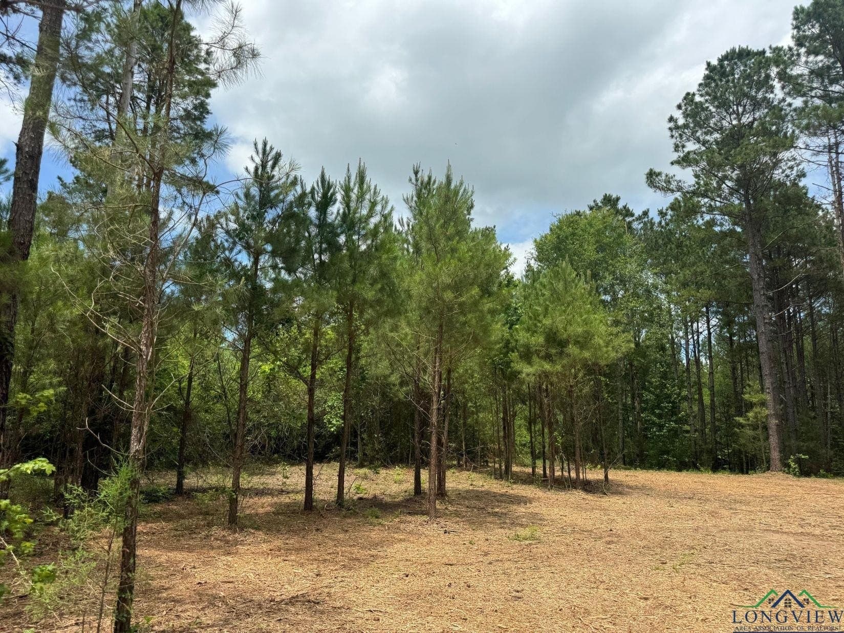 8.42 acres in Marion County - photo 10