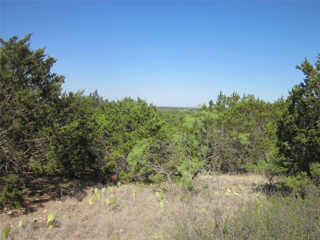 163.18 acres in Callahan County - photo 24
