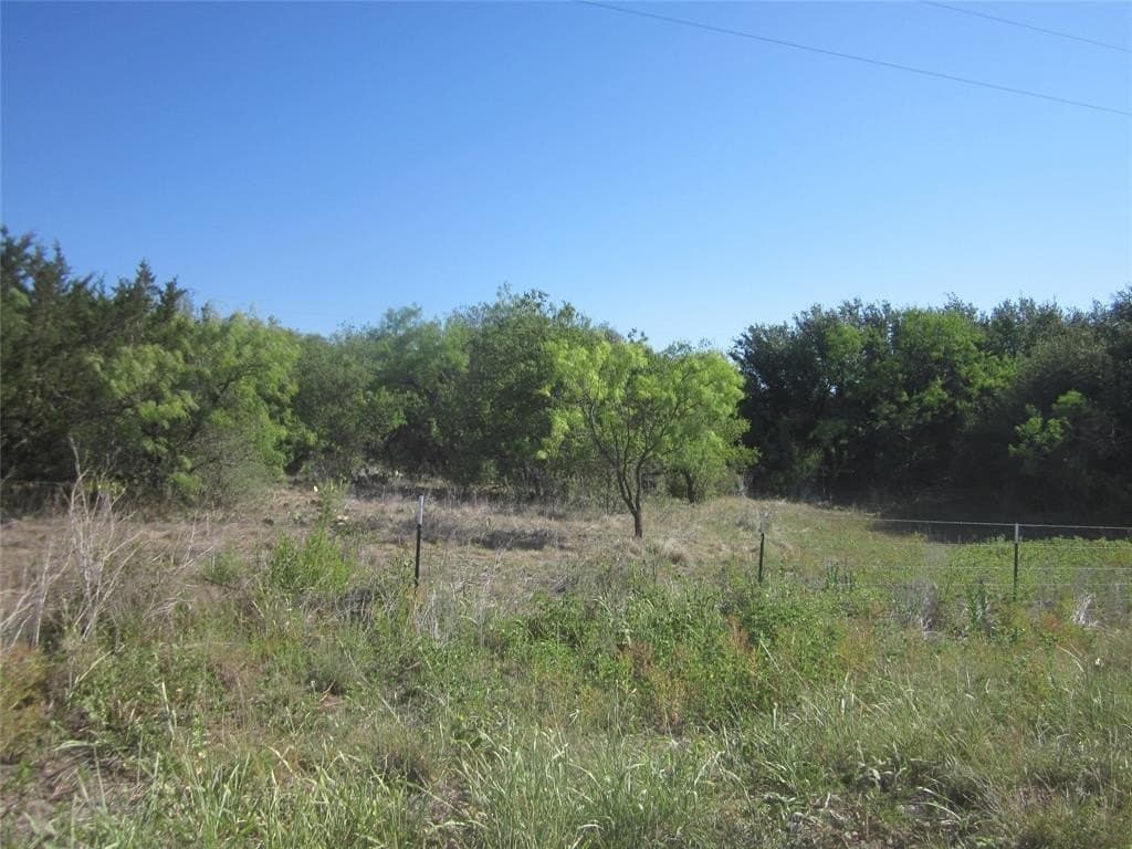 163.18 acres in Callahan County - photo 3