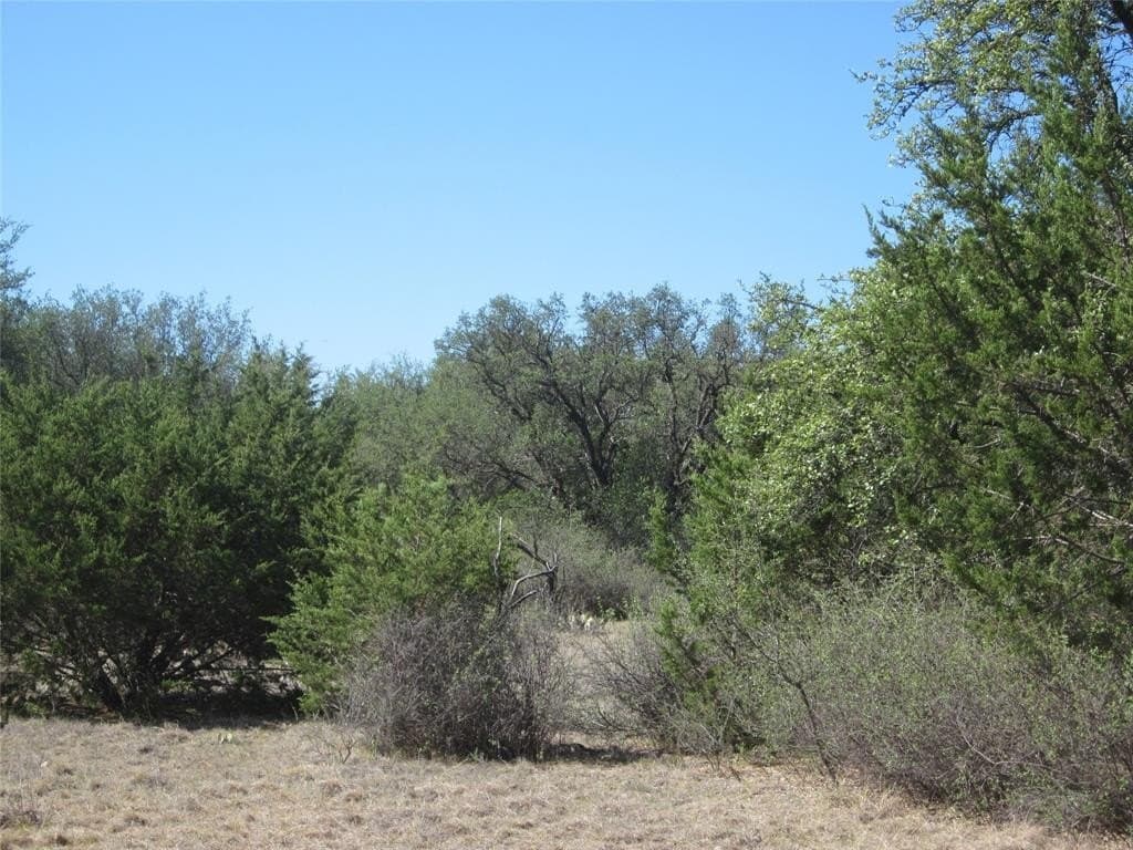 163.18 acres in Callahan County - photo 19