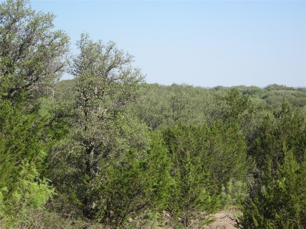 163.18 acres in Callahan County - photo 13