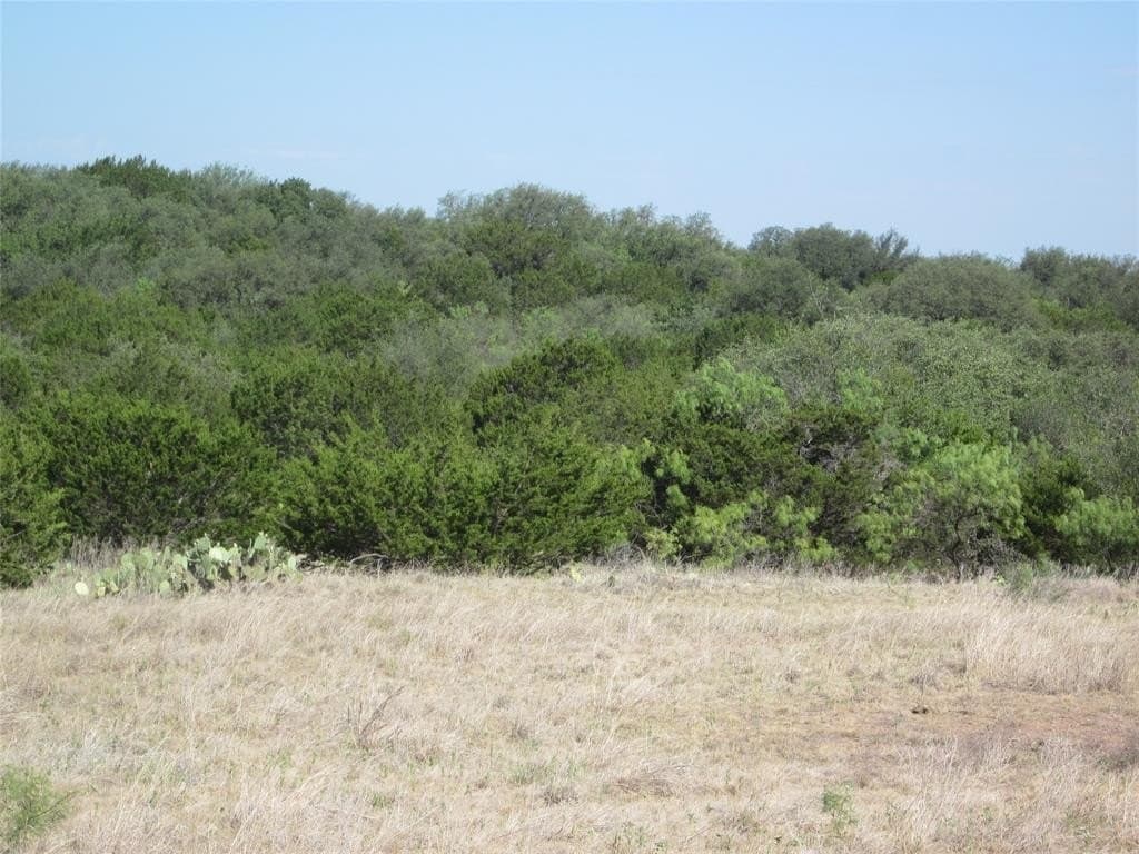 163.18 acres in Callahan County - photo 15