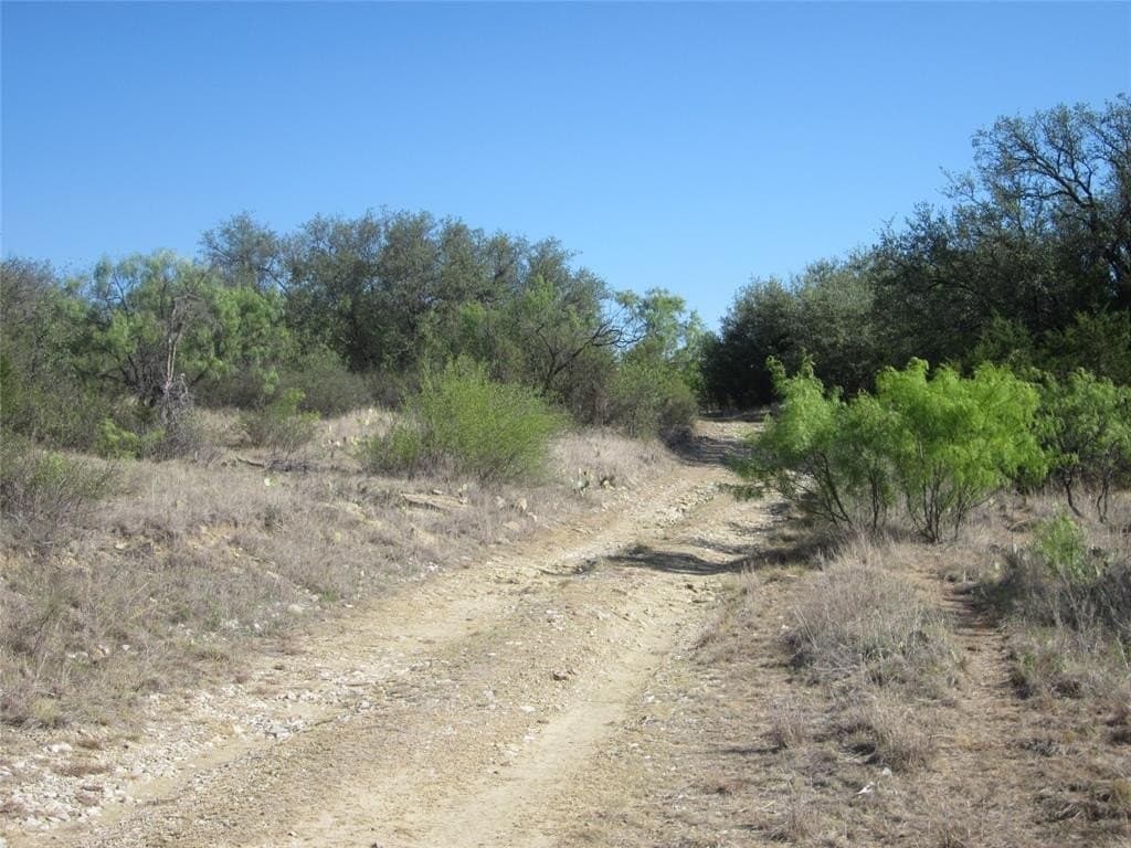 163.18 acres in Callahan County - photo 8