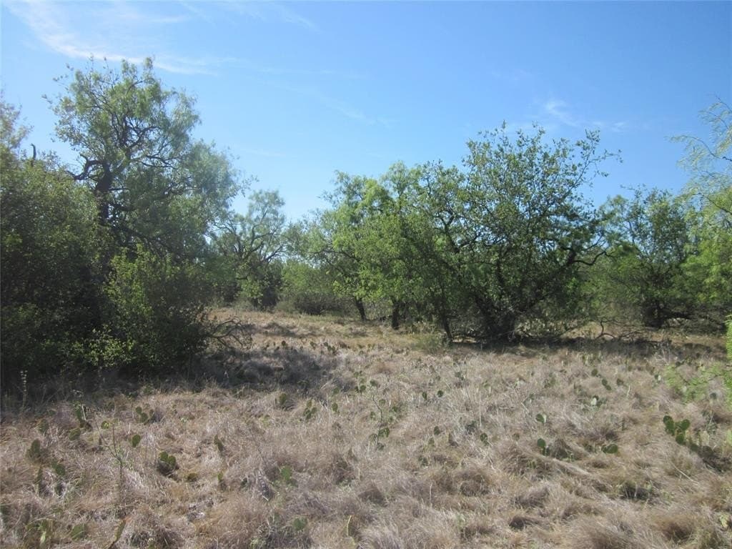 163.18 acres in Callahan County - photo 23
