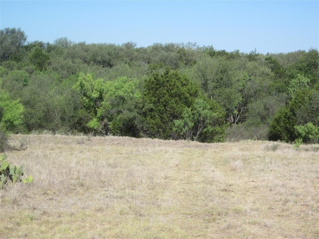 163.18 acres in Callahan County - photo 14