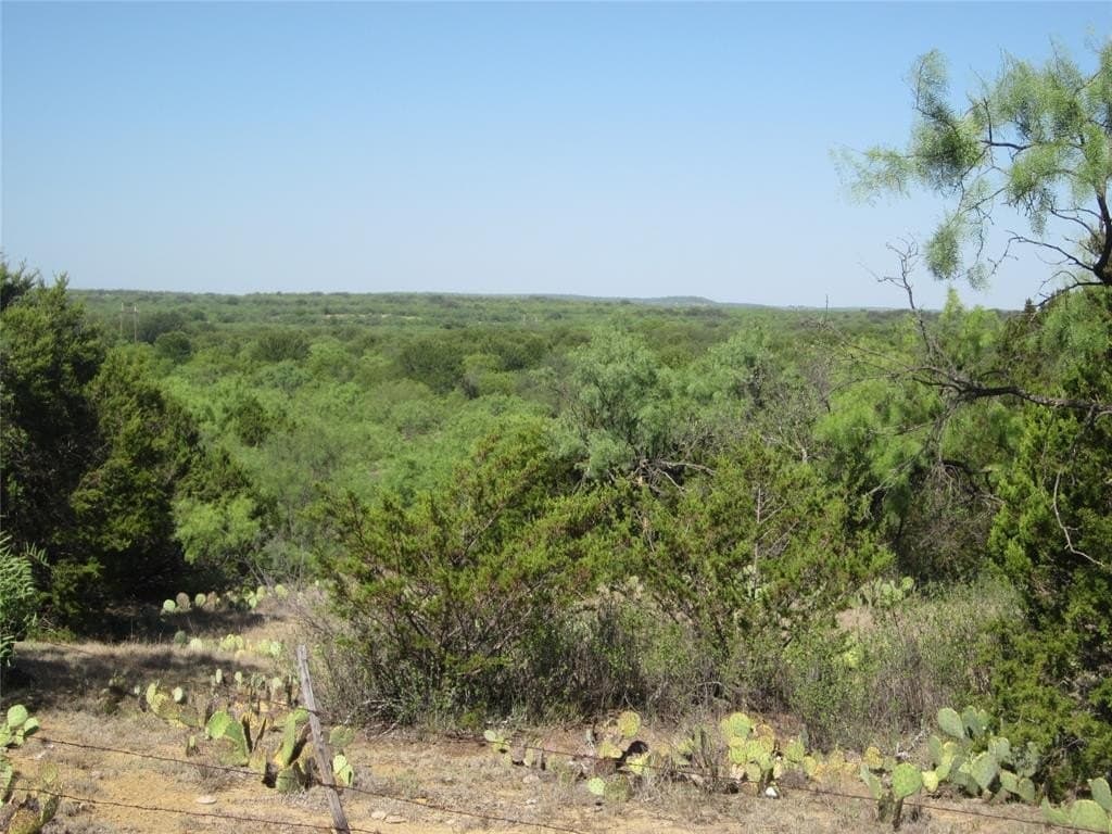163.18 acres in Callahan County - photo 25