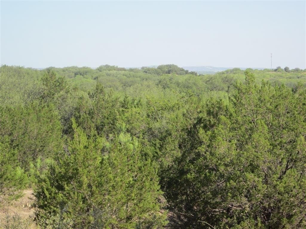 163.18 acres in Callahan County - photo 12