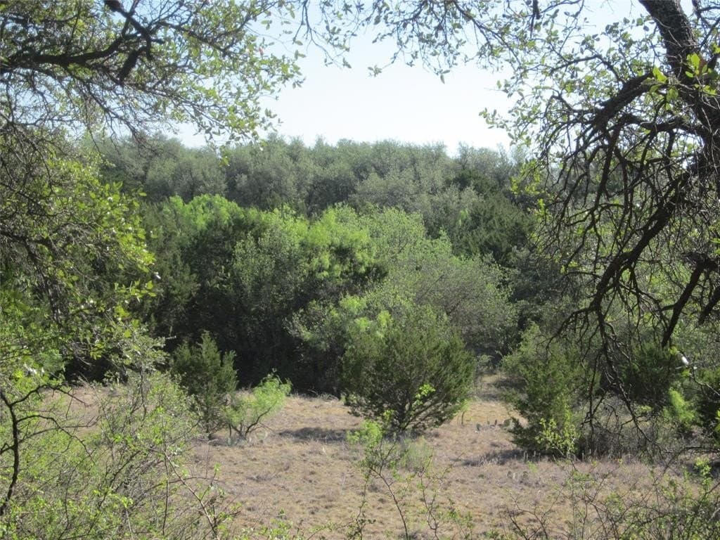 163.18 acres in Callahan County - photo 11