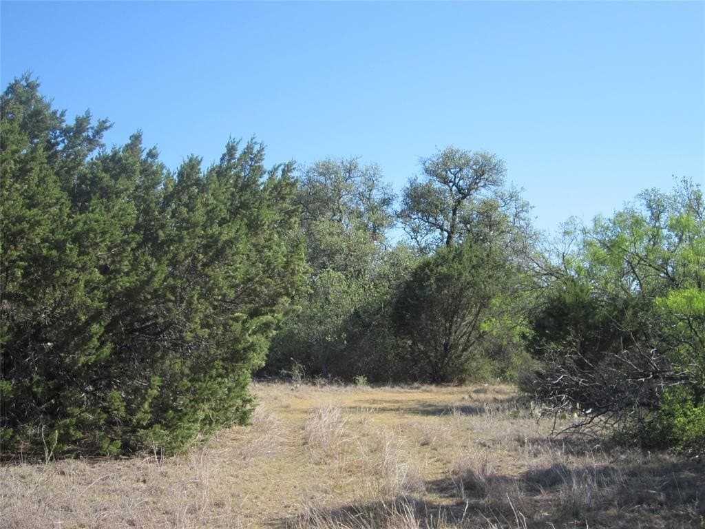 163.18 acres in Callahan County - photo 9