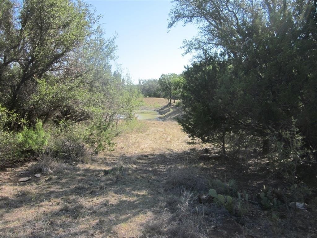 163.18 acres in Callahan County - photo 16