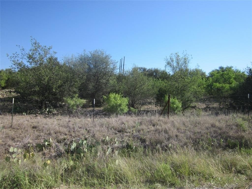 163.18 acres in Callahan County - photo 2