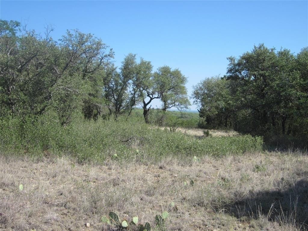 163.18 acres in Callahan County - photo 10