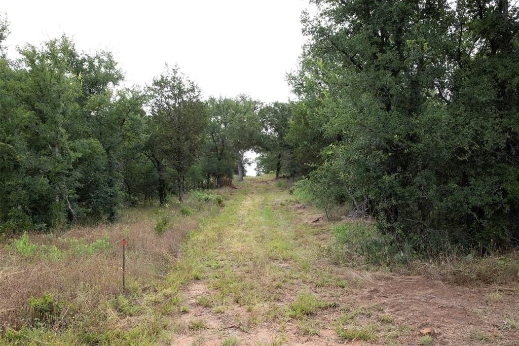 12.11 acres in Young County - photo 5