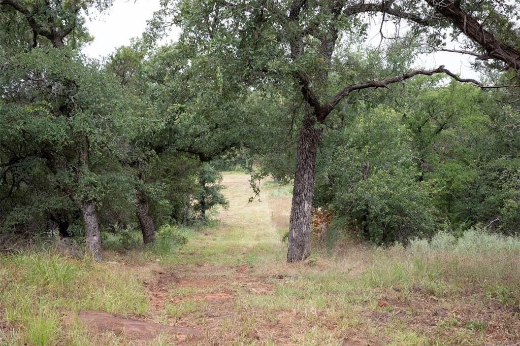 12.11 acres in Young County - photo 4