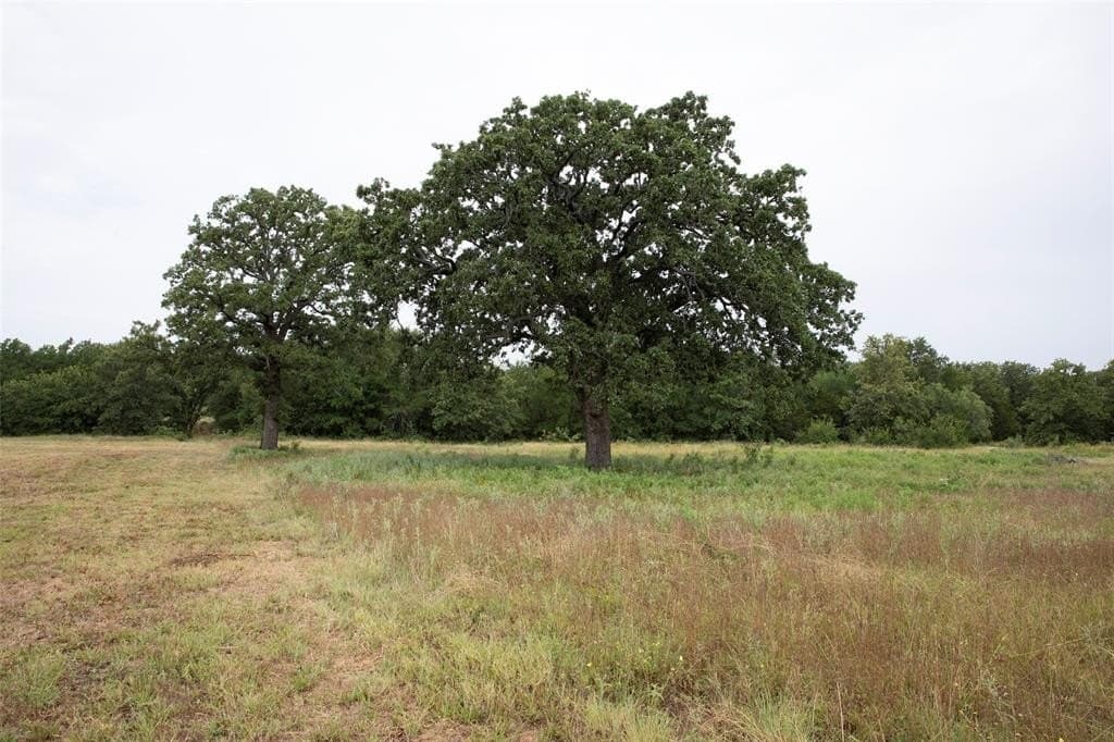 12.11 acres in Young County - photo 6