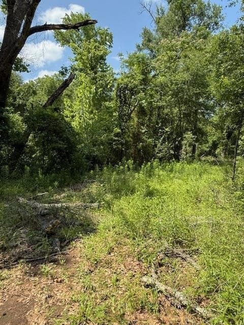 17.05 acres in ANDERSON County - photo 2