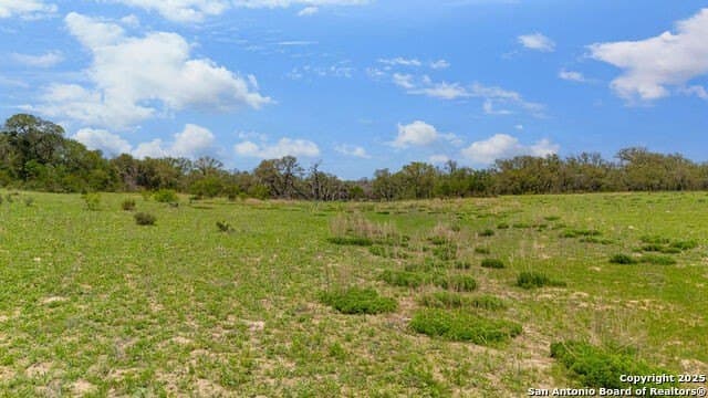 10 acres in Atascosa County - photo 22