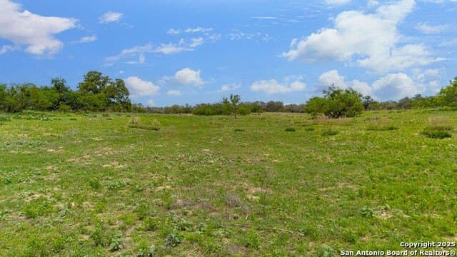 10 acres in Atascosa County - photo 11