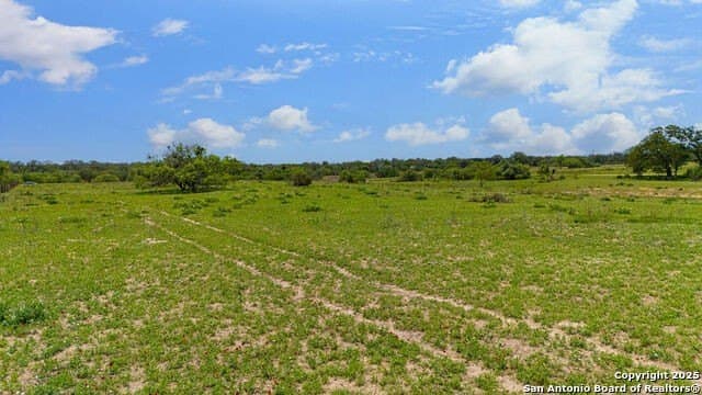 10 acres in Atascosa County - photo 17