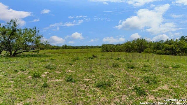 10 acres in Atascosa County - photo 23