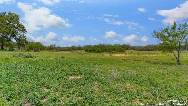10 acres in Atascosa County - photo 20