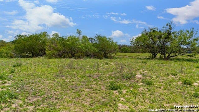 10 acres in Atascosa County - photo 24