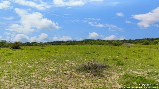 10 acres in Atascosa County - photo 14