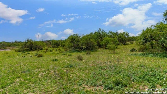 10 acres in Atascosa County - photo 19