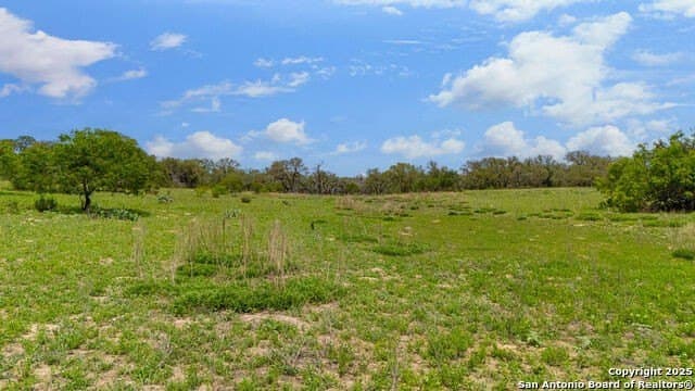 10 acres in Atascosa County - photo 21