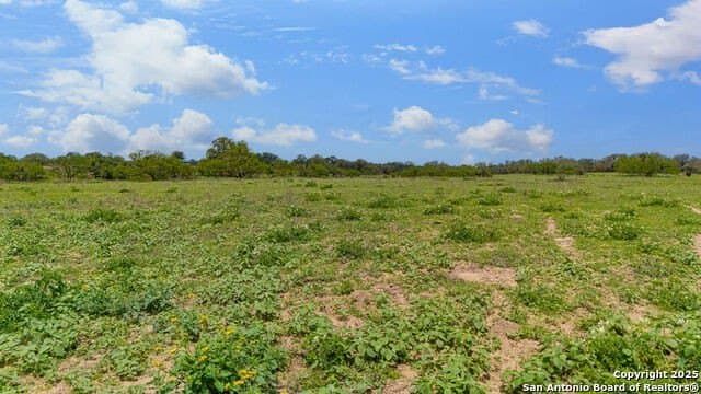 10 acres in Atascosa County - photo 10