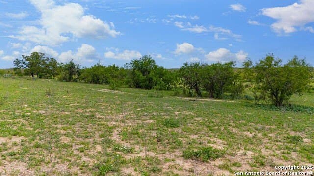 10 acres in Atascosa County - photo 12