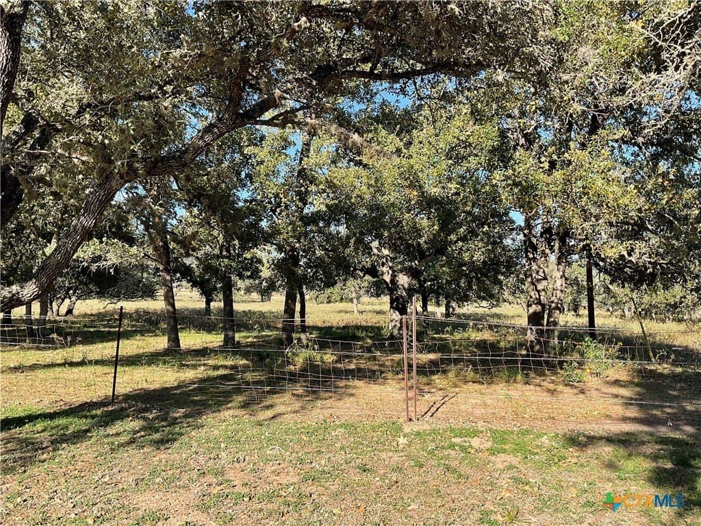 10.28 acres in DeWitt County - photo 6