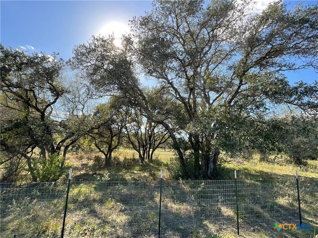 10.28 acres in DeWitt County - photo 2