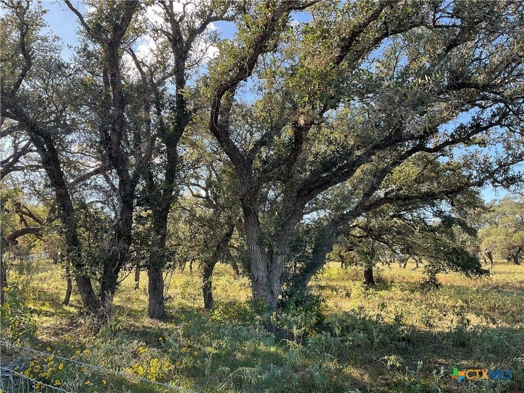 10.28 acres in DeWitt County - photo 4
