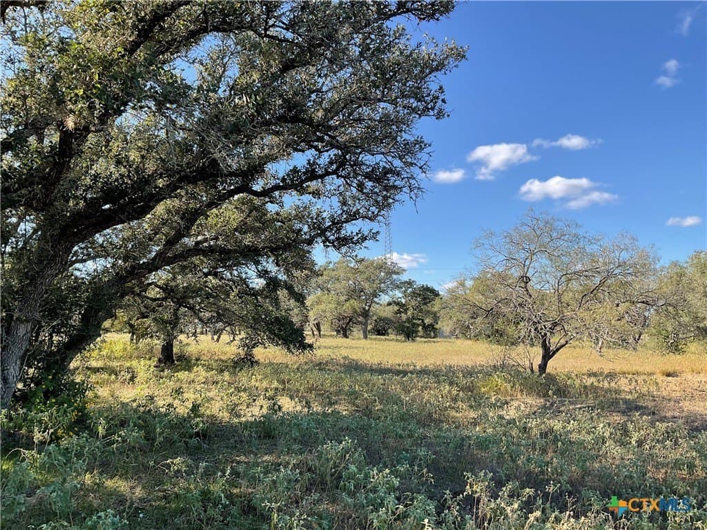 10.28 acres in DeWitt County - photo 3