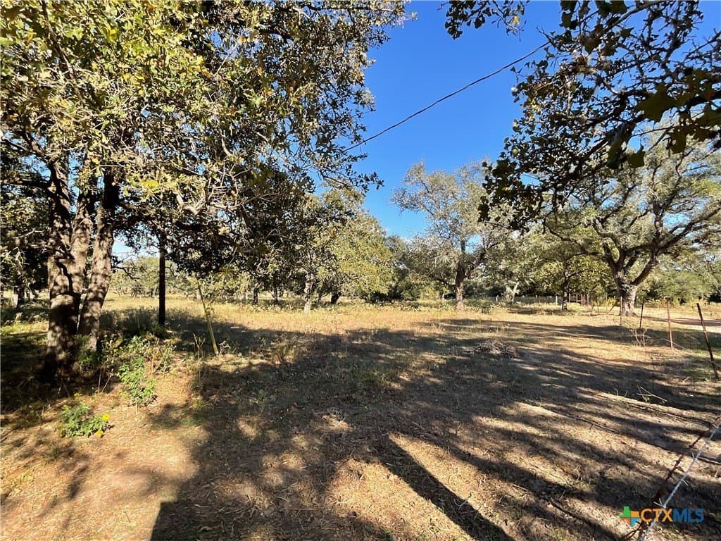 10.28 acres in DeWitt County - photo 7