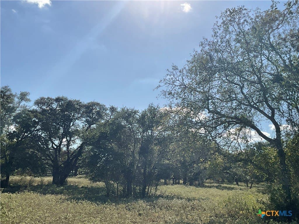 10.28 acres in DeWitt County - photo 5