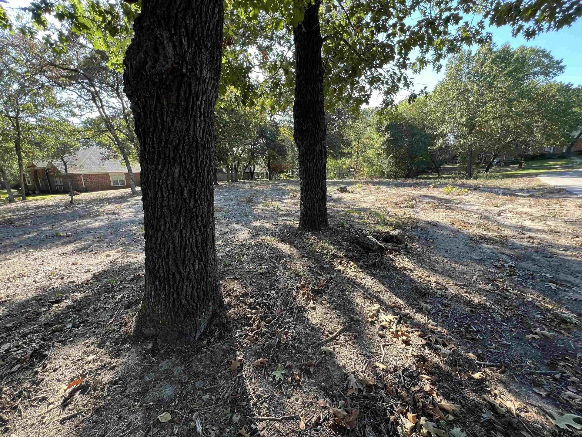 0.51 acres in Wood County - photo 3