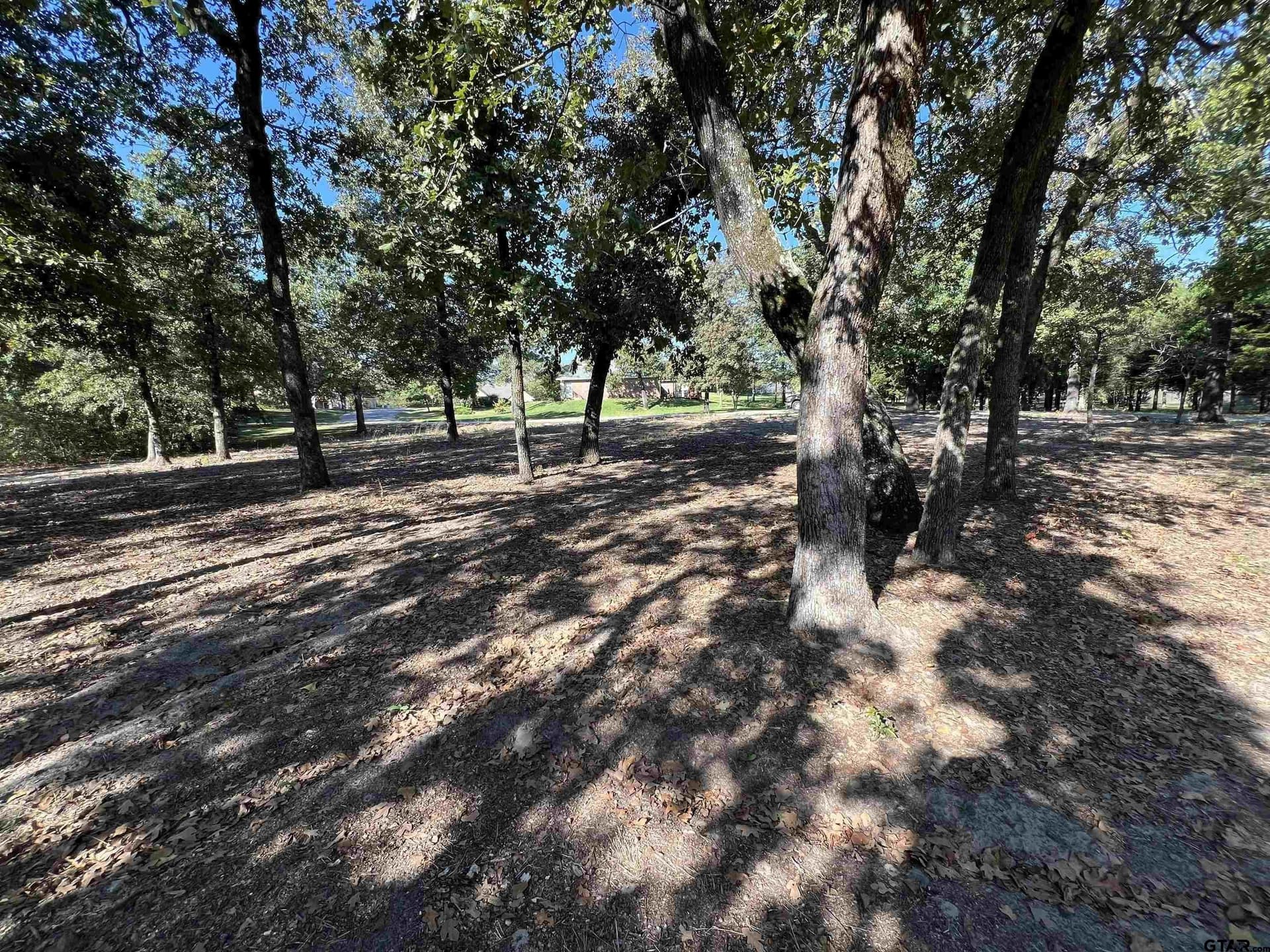 0.51 acres in Wood County - photo 5