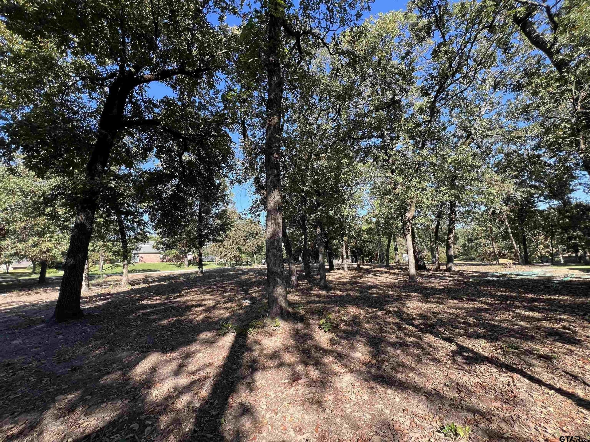 0.51 acres in Wood County - photo 12