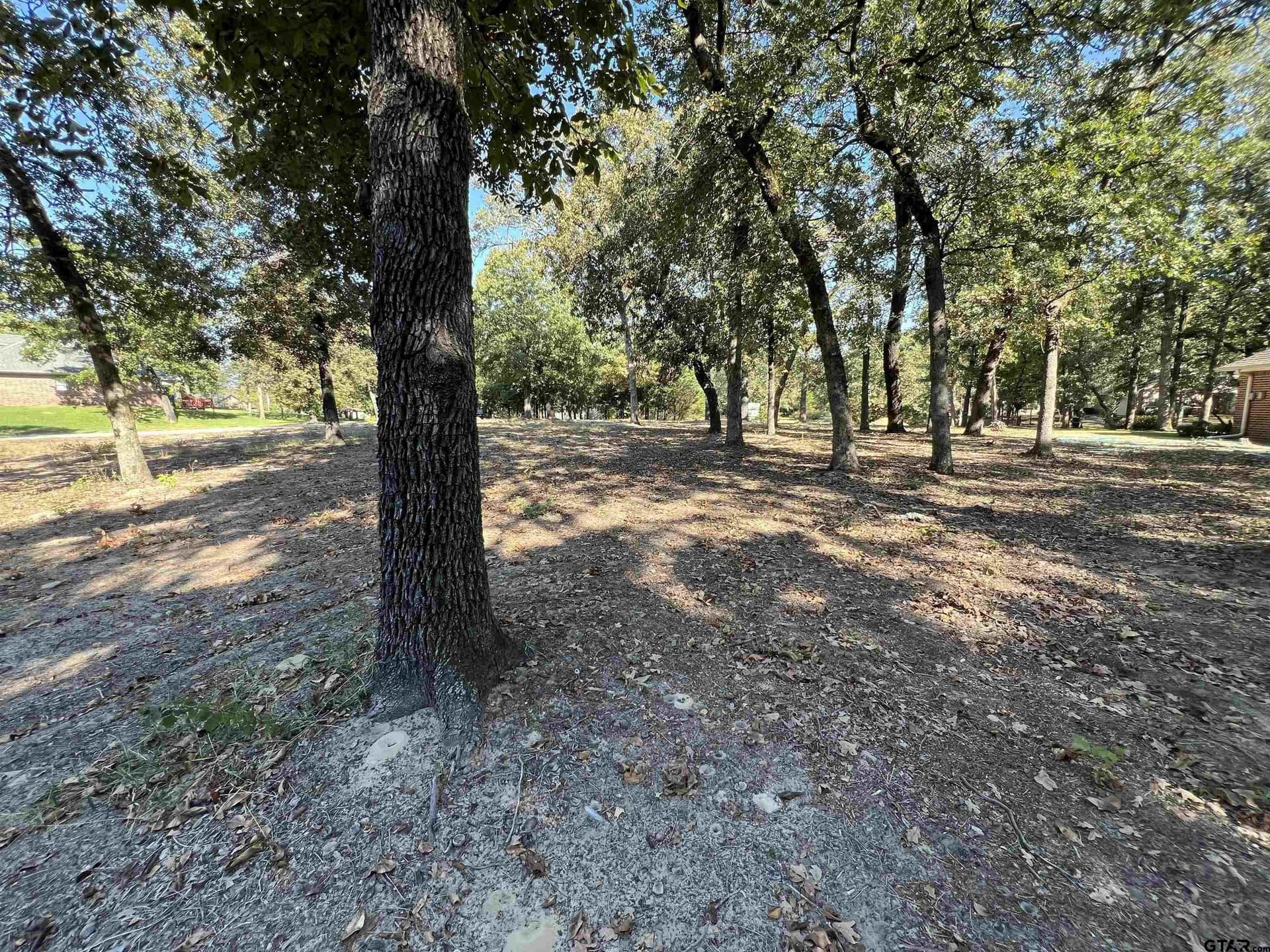 0.51 acres in Wood County - photo 10
