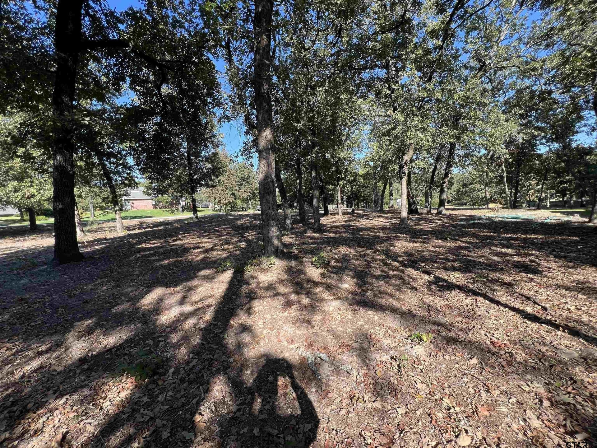 0.51 acres in Wood County - photo 13