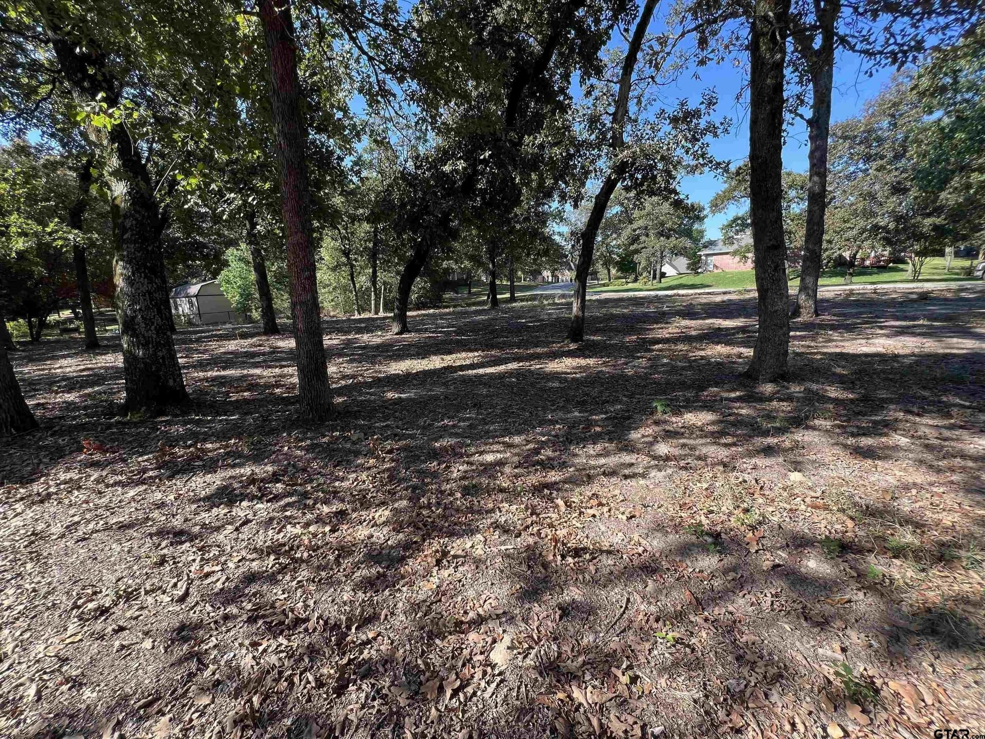 0.51 acres in Wood County - photo 2