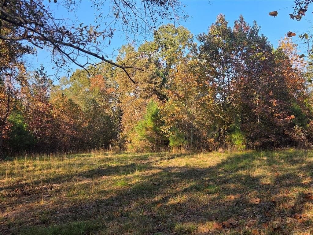 3 acres in Red River County - photo 9