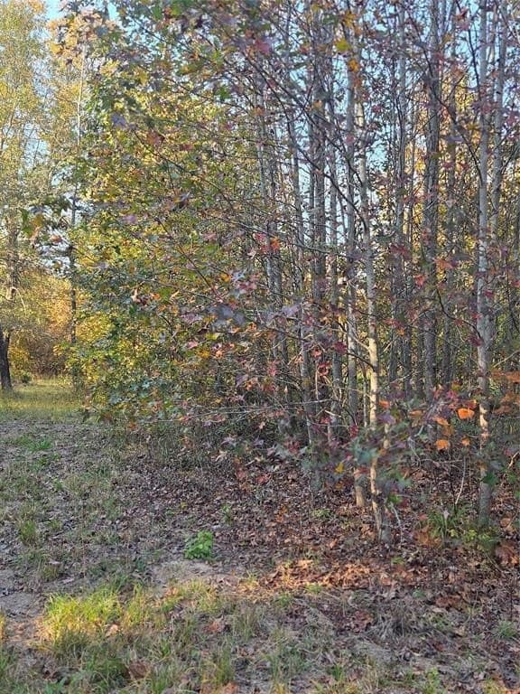 3 acres in Red River County - photo 6